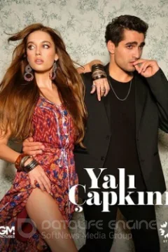 Зимородок 1-3 сезон турецкий сериал